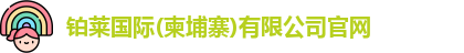 铂莱国际